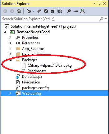 Add Packages To Package Folder